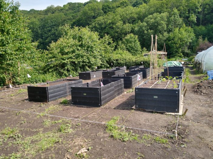 view of our fantastic new raised beds